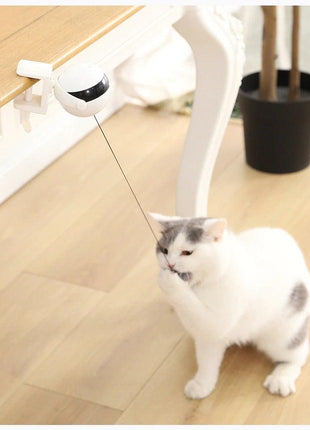 Smart Cat Teaser Ball Interactive Exercise Toys