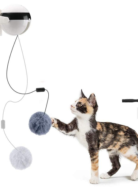 Smart Cat Teaser Ball Interactive Exercise Toys
