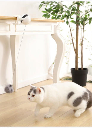 Smart Cat Teaser Ball Interactive Exercise Toys