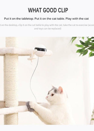 Smart Cat Teaser Ball Interactive Exercise Toys