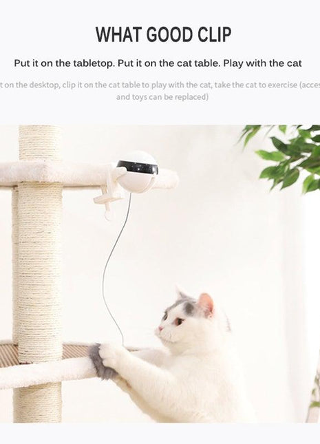 Smart Cat Teaser Ball Interactive Exercise Toys