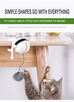 Smart Cat Teaser Ball Interactive Exercise Toys