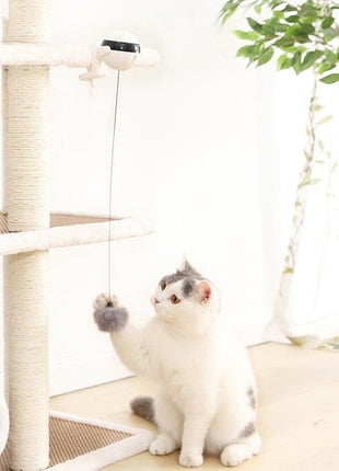 Smart Cat Teaser Ball Interactive Exercise Toys