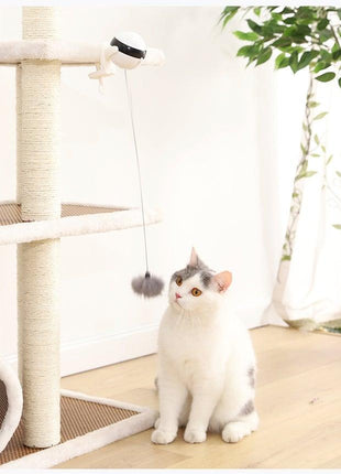 Smart Cat Teaser Ball Interactive Exercise Toys