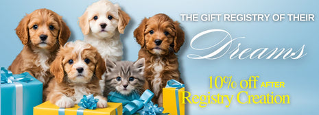 What's a PupList registry?