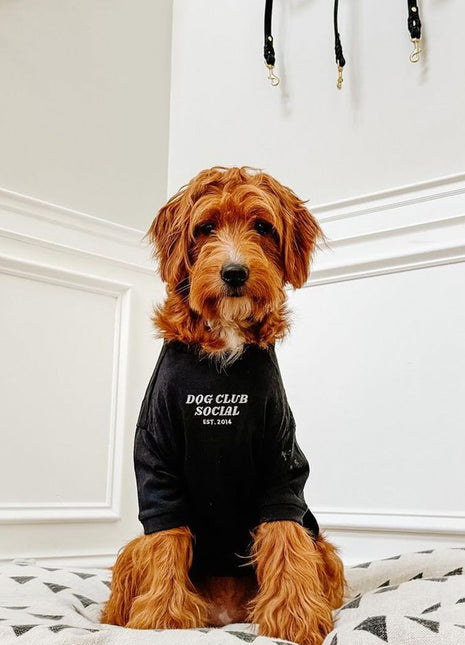 Embroidered Tee (Dog)