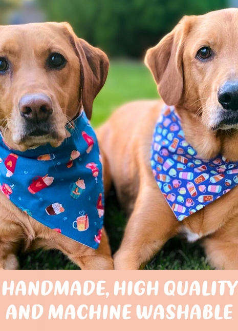 "Adventure" Dog Bandana
