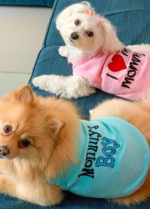 Parisian Pet 'Mommy's Boy' Cotton Dog Apparel – Comfortable T-Shirt for Small Dogs and Cats, Light Blue-Valentine's Day