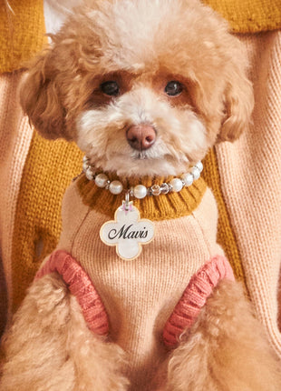 Nooee Pet Fawn Sweater