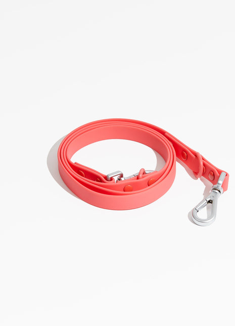 Luxe Leash - Poppy - Pup List