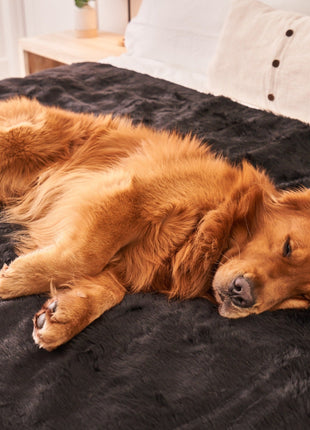 PupProtector™ Short Fur Waterproof Throw Blanket - Midnight Black
