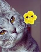 Handmade Catnip Toy | Twila L’Étoile the Celestial Chunkle Puff Infused with Miracle Nip Botanicals