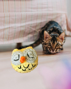 Handmade Catnip Toy | Yolk the Owl Chunkle Puff Infused with Miracle Nip Botanicals