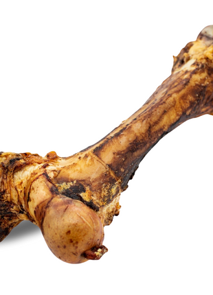 Monster Femur Bone