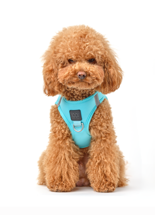SoHo Dog Harness - Fifth Avenue