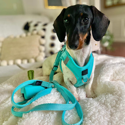 City Dog Leash - Fifth Avenue