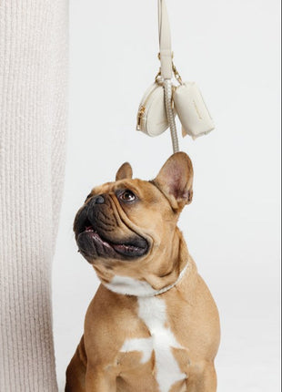 City Walk Kit (wholesale) - Pup List