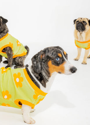 Flower Power Dog T-shirt - Pup List