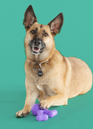 Teethin' Time - Pup List