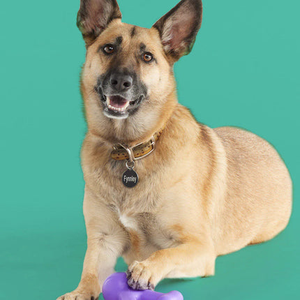 Teethin' Time - Pup List