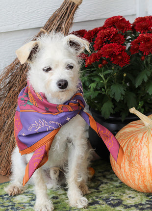 Basic Witch Bandana