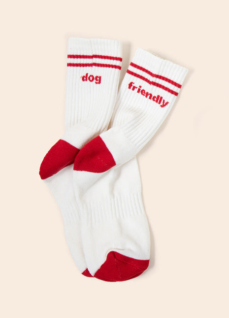 Dog Friendly Sock