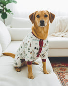 Fun Fam Surfing Santa Pajama (Dog & Kid Sizes Only)