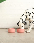 Ceramic Dog Bowl - Pup List
