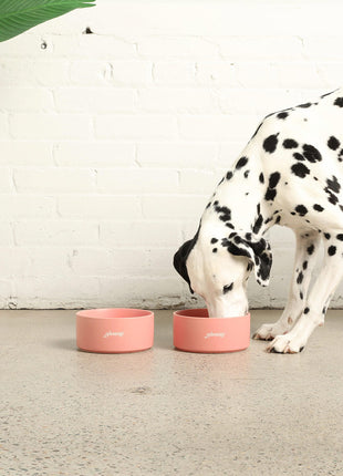 Ceramic Dog Bowl - Pup List