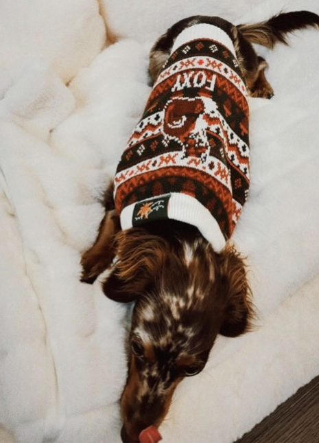 Foxy Sweater