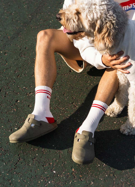 Dog Friendly Sock