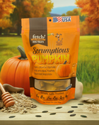 Biscuits | Scrumptious Pumpkin | fetch! Dog Treats™
