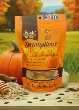 Biscuits | Scrumptious Pumpkin | fetch! Dog Treats™