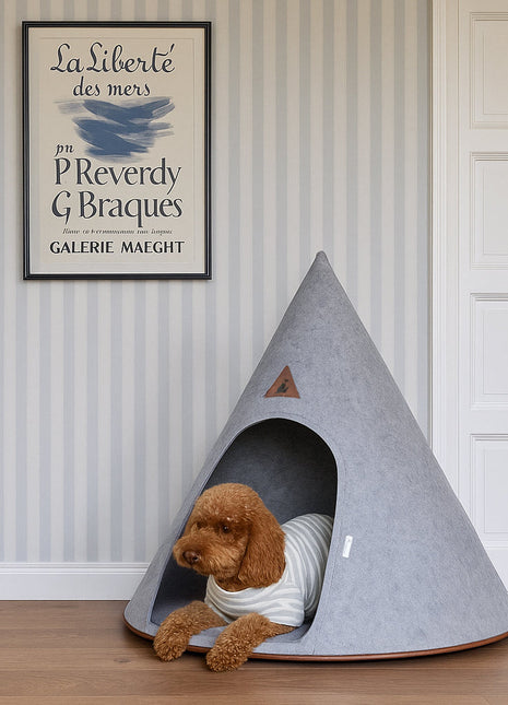 Nooee Pet Cave Molly  (XL) – Gray