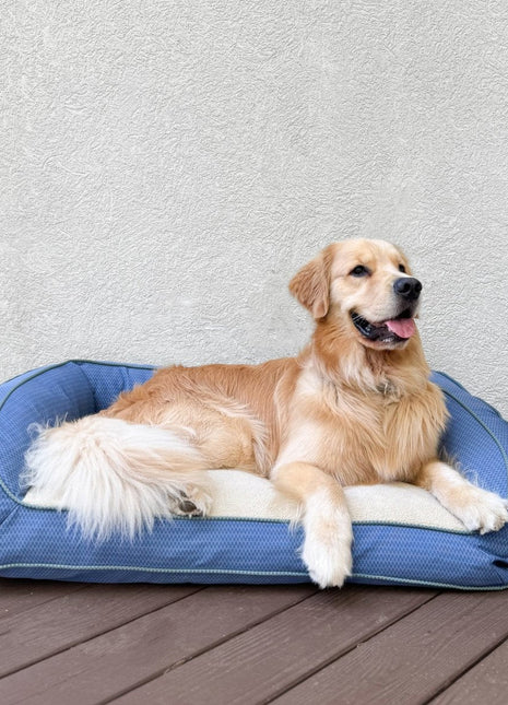GreenDog Bolster Bed- Checkered Wave