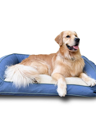 GreenDog Bolster Bed- Checkered Wave - Pup List