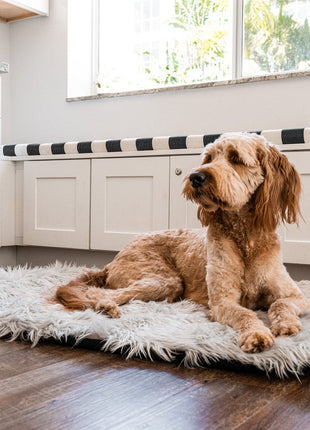 PupRug by Paw.com® Portable Orthopedic Dog Bed - Grey