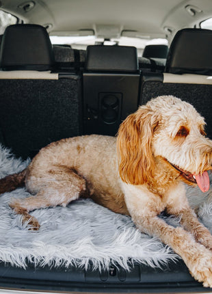 PupRug by Paw.com® Portable Orthopedic Dog Bed - Grey