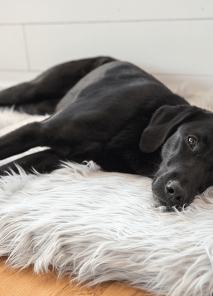 PupRug by Paw.com™ Faux Fur Orthopedic Dog Bed - Rectangle Grey
