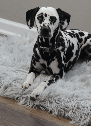 PupRug by Paw.com™ Faux Fur Orthopedic Dog Bed - Rectangle Grey