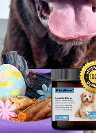 Probiotic Chews (90 Chews)