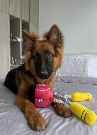 KETTLEBELL TUG ROPE INTERACTIVE TOY