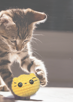 Handmade Weighted Catnip Toy | Pippa the Chonk Chunkle Chunk Infused with Miracle Nip Botanicals