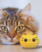 Handmade Weighted Catnip Toy | Pippa the Chonk Chunkle Chunk Infused with Miracle Nip Botanicals