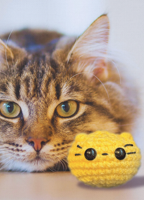 Handmade Weighted Catnip Toy | Pippa the Chonk Chunkle Chunk Infused with Miracle Nip Botanicals