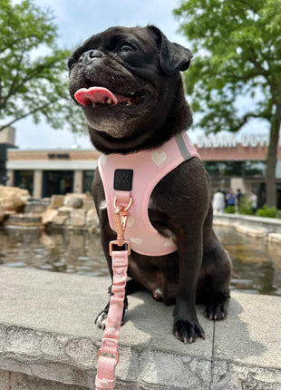 3-in-1 City Dog Leash - Sweetheart