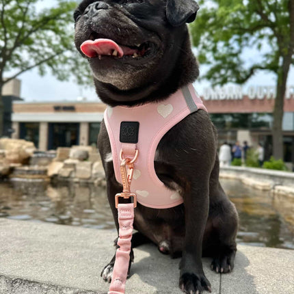 3-in-1 City Dog Leash - Sweetheart