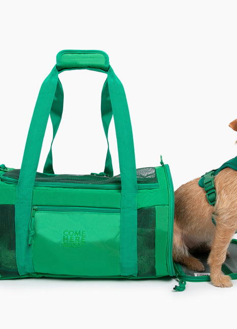Travel Buddy - Pet Carrier