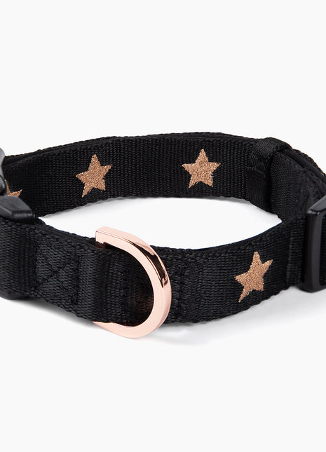 City Collar - Rockstar - Pup List