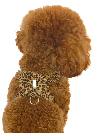 Hollywood Bow Dog Harness, Cheetah